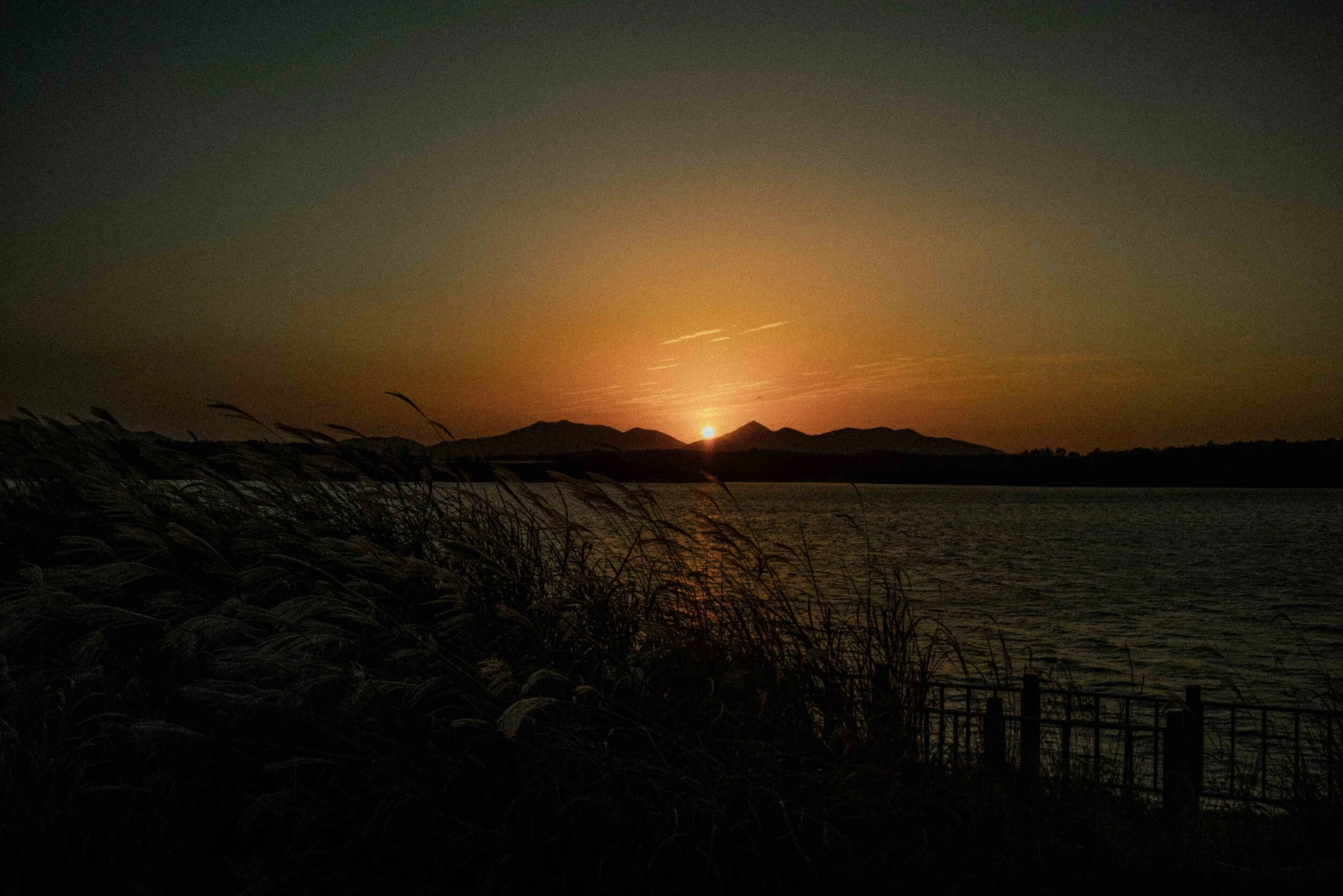 DSC00366.JPG