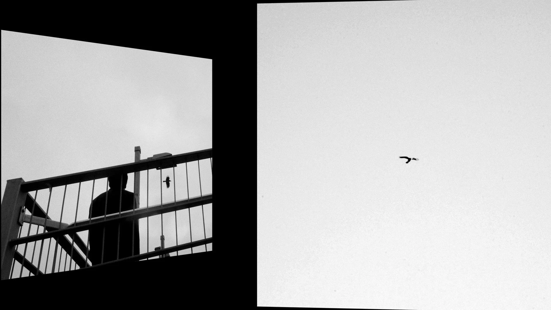 Day1-2 Copy 02.00_03_10_14.Still072.JPG