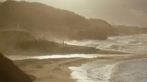 TOMORROW FIELD 2025｜あしたの畑 2025