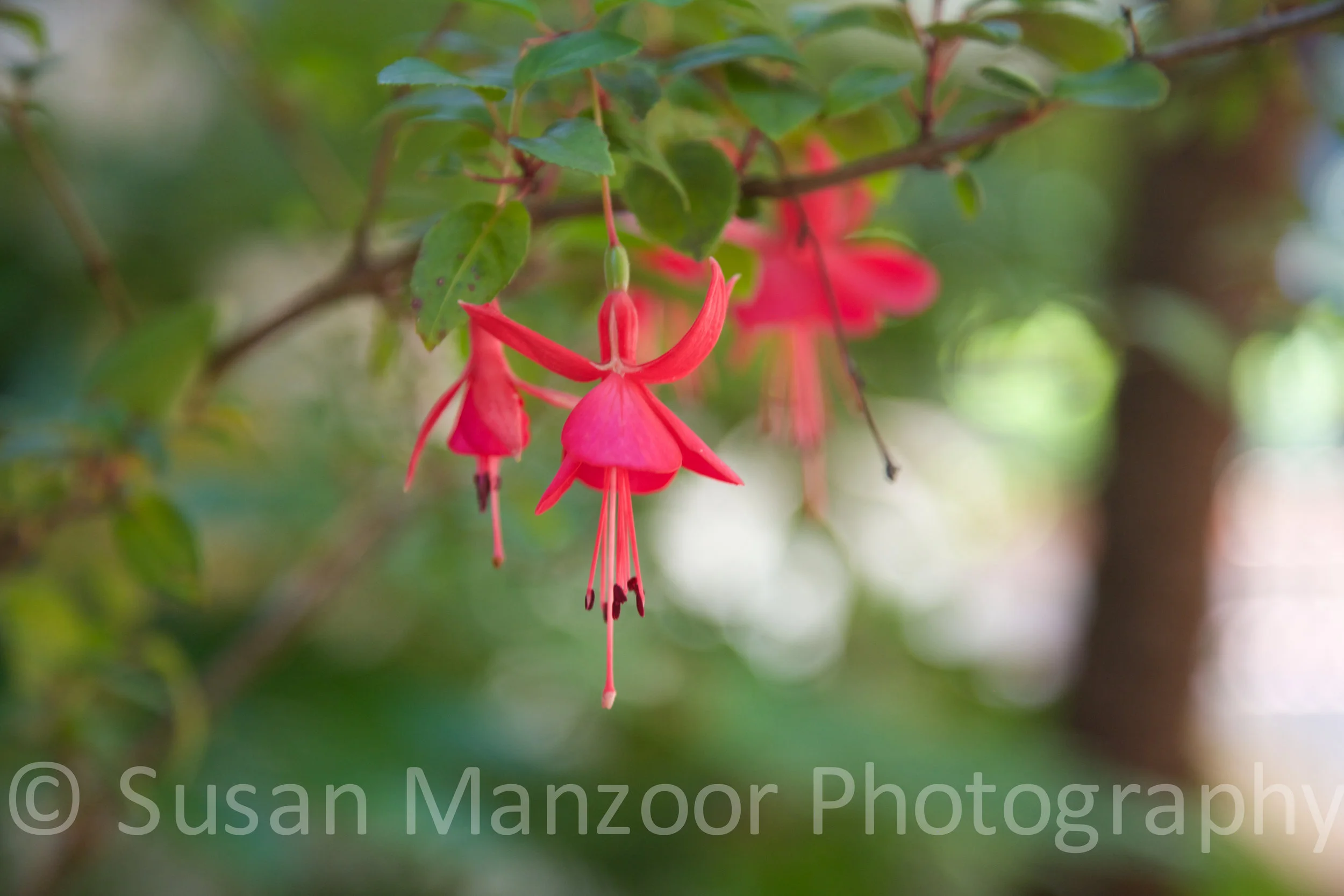 <untitled> 17 (1)-2.JPG