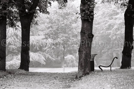 Paris-Luxembourg-Park