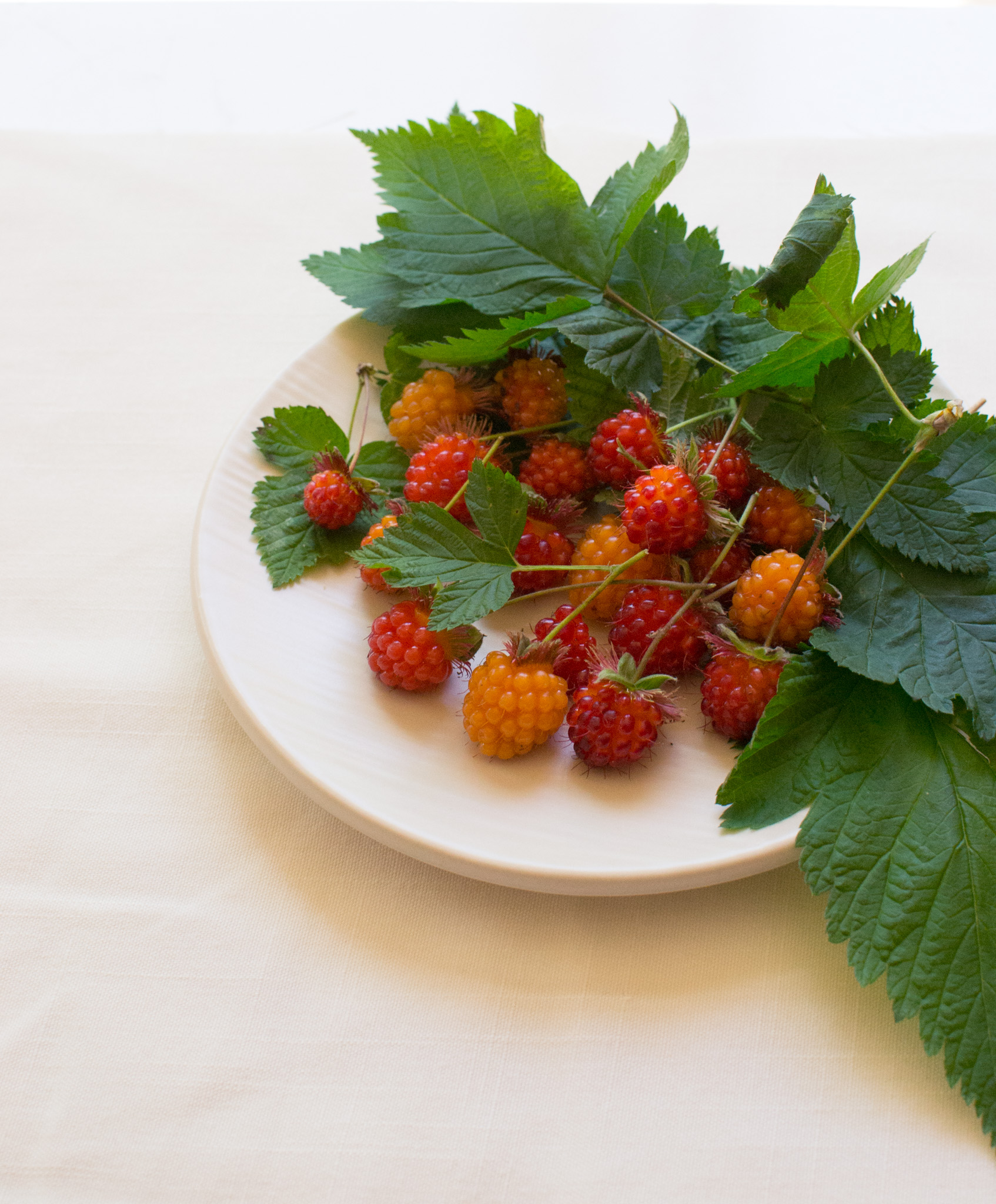 Strawberries and Cream Oat Scones & A Simple Salmon Berry Shrub — The