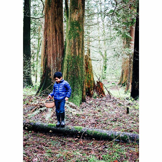 From the weekend Easter Egg Hunt. While all the kids and competitive kids-at-heart were running through the woods looking for eggs, I was on the forest floor snipping nettles and fiddleheads. Priorities, you know? I managed to leave the hunt with one