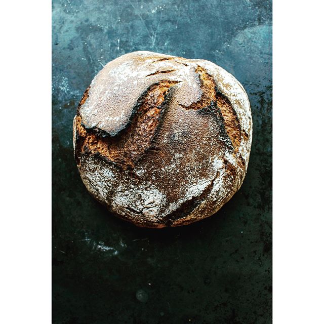 Bold bake for breakfast today. It's the rye-wheat from @blainewetzel 's beautiful Sea and Smoke. I love how this book highlights so many special plants and ingredients we have in this area, including those right here across the bay from alumni. #rye 