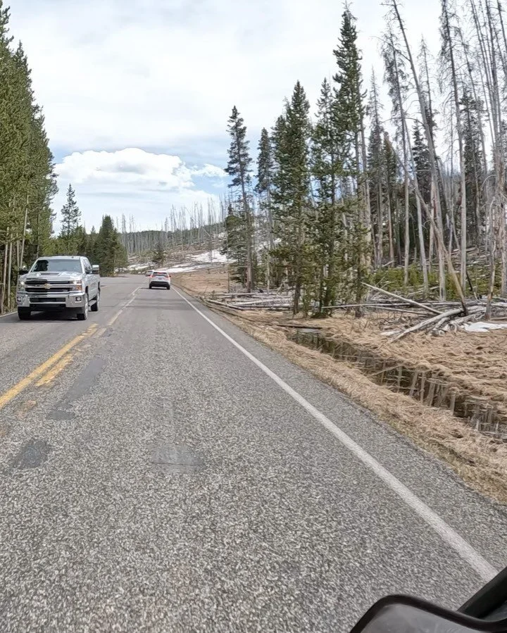 Day 1️⃣1️⃣ is a VIDEO day! Today was our first day in Yellowstone and WOW, it did not disappoint. From bison sightings, to more bison, to Old Faithful popping off, and more, it truly was awesome. 

We have another day in the park tomorrow before head