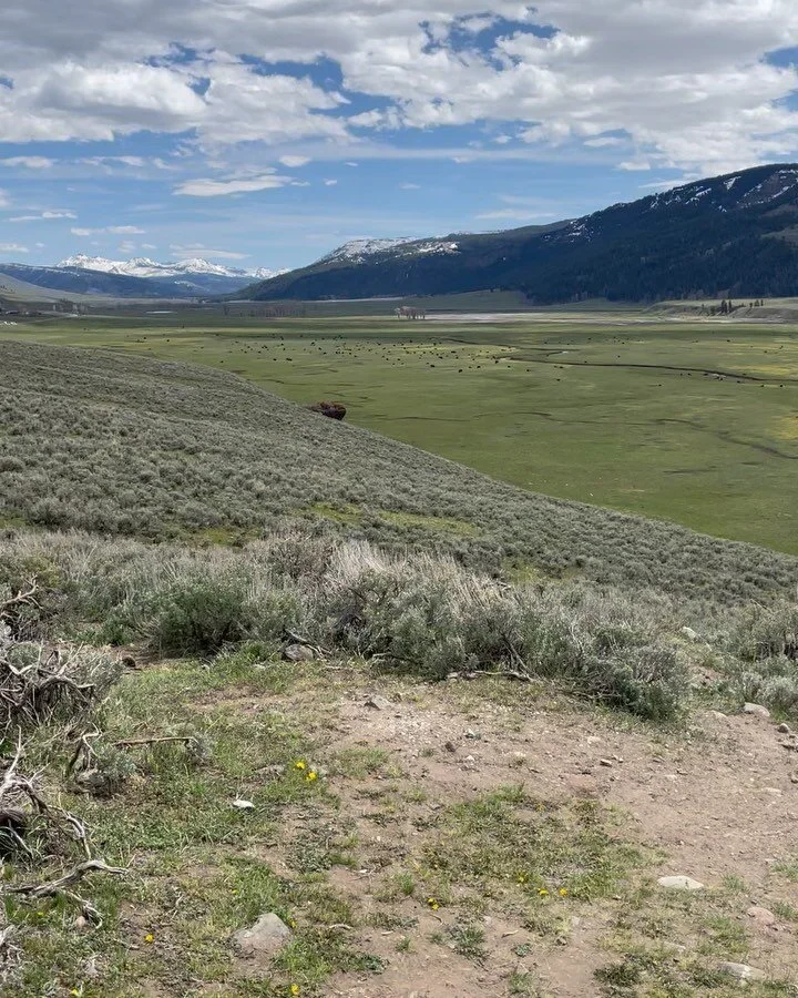 Day 12 is officially in the books! Here are a few more videos and stills to recap the day! Today we were able to hit:
-The Mammoth Hot Springs
-The Sulfur Caldron (Smelled AWFUL)
-The north side of the park
-Lamar Valley (MUST see!)
-Took the Chief J