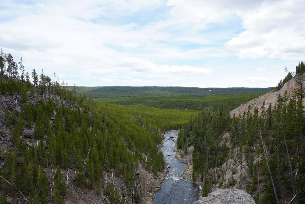 Finally getting around to doing the final two photo dumps from Yellowstone, now that I have had time to pull them off my camera. I&rsquo;m by no means a good amateur, let alone professional, photographer, but these shots really bring me back. 

I&rsq