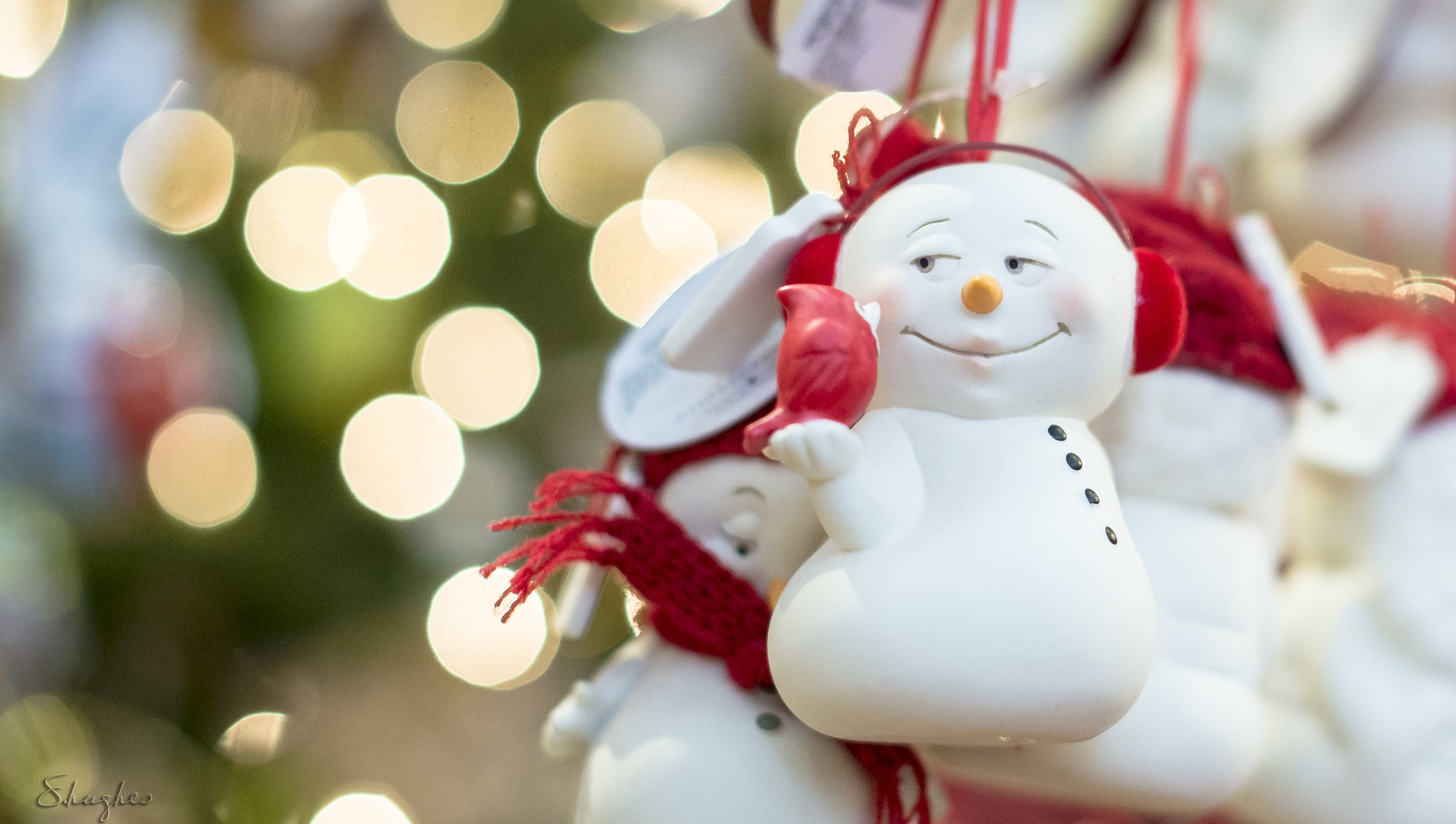 Durham_MorganImports_SnowmaninwithCardinal_12172016.jpg