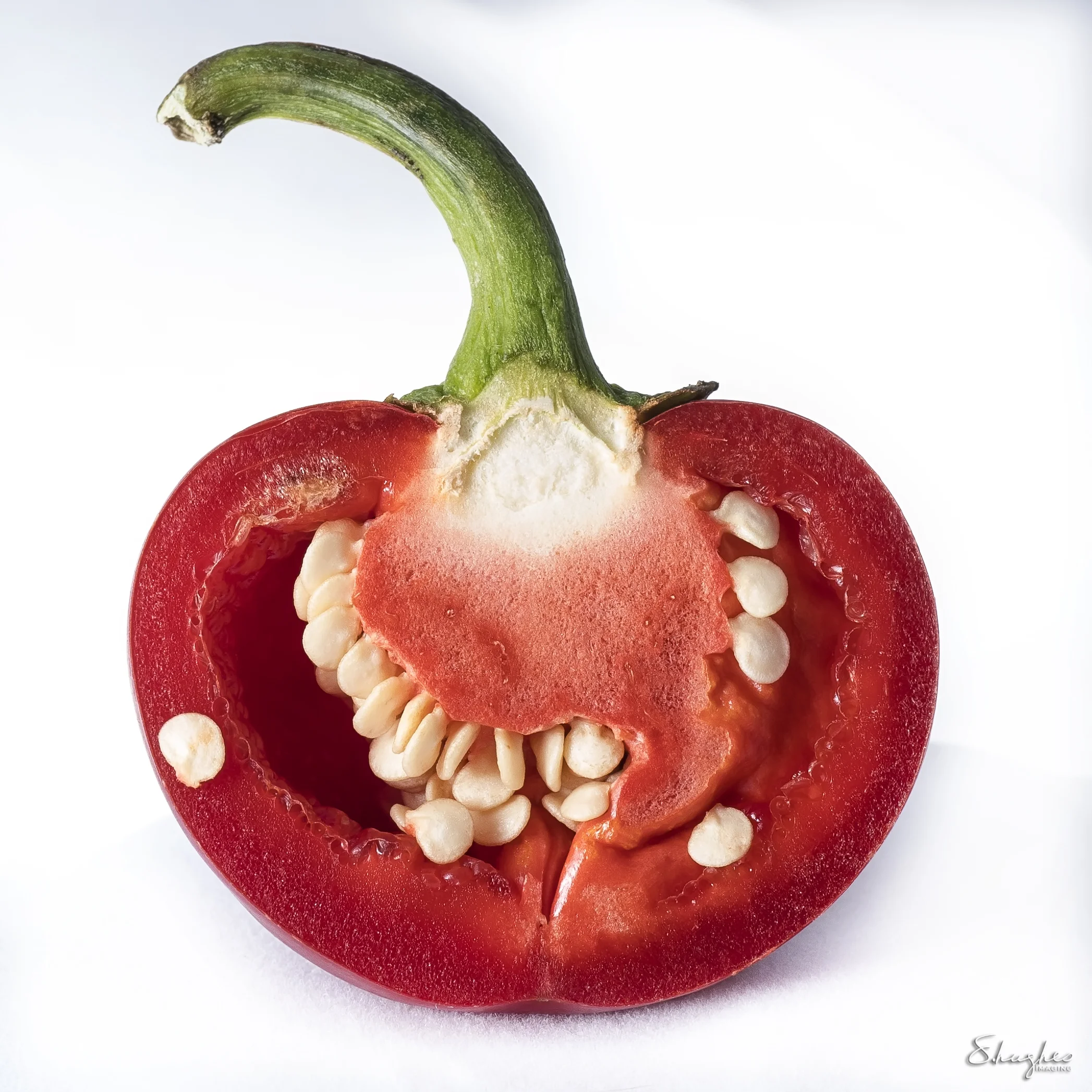 FoodStudy_LightBox_Pepper.jpg