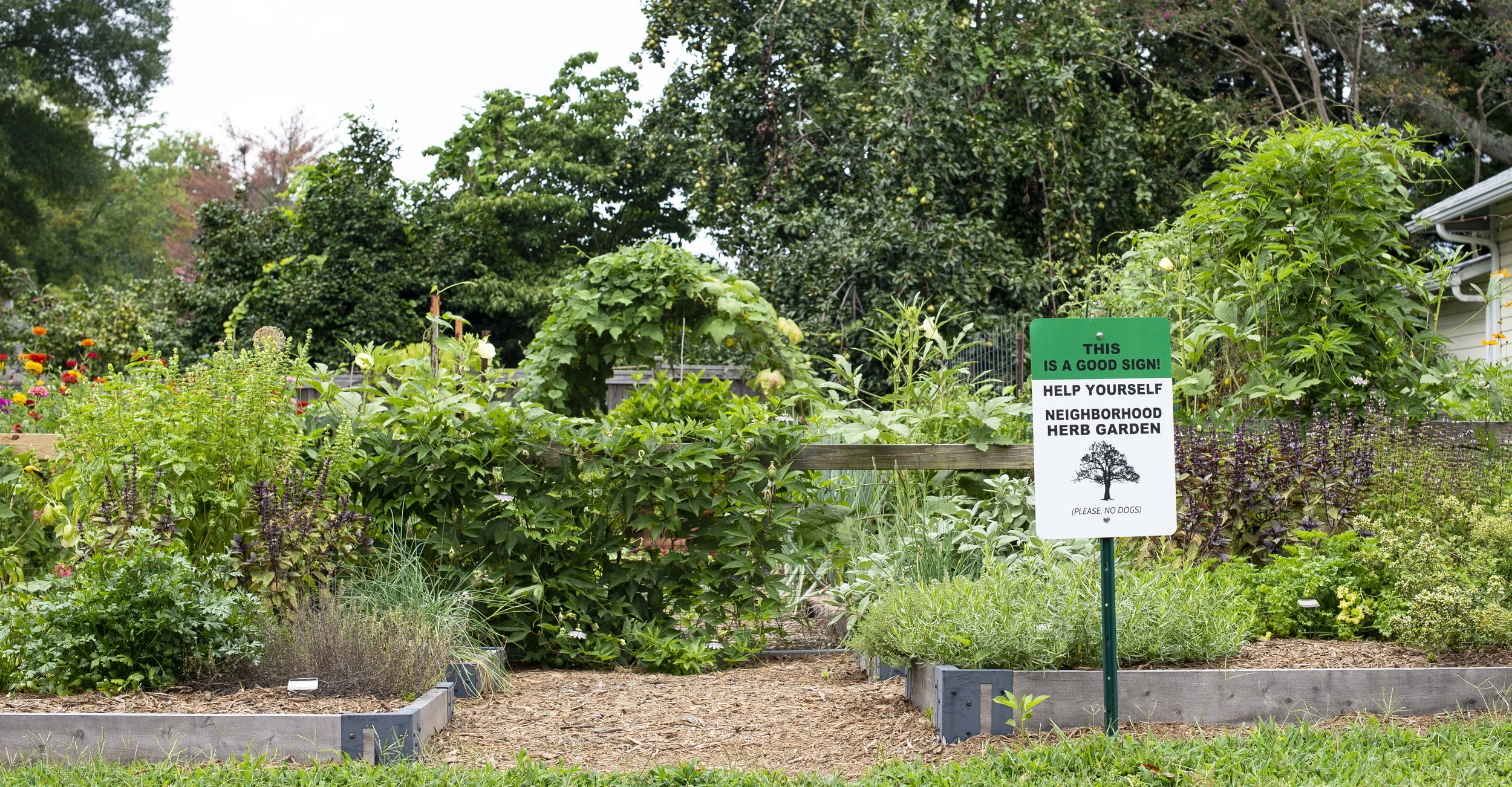 Durham_NeighborhoodGarden_WattsDist_7282018.jpg