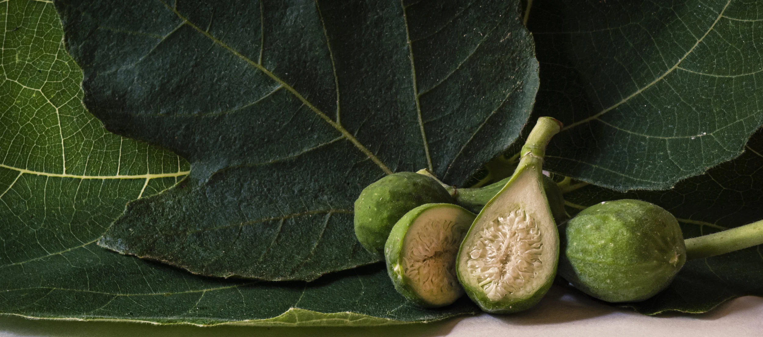 Durham_801_BabyFigs_FIG_Cover26122019.jpg