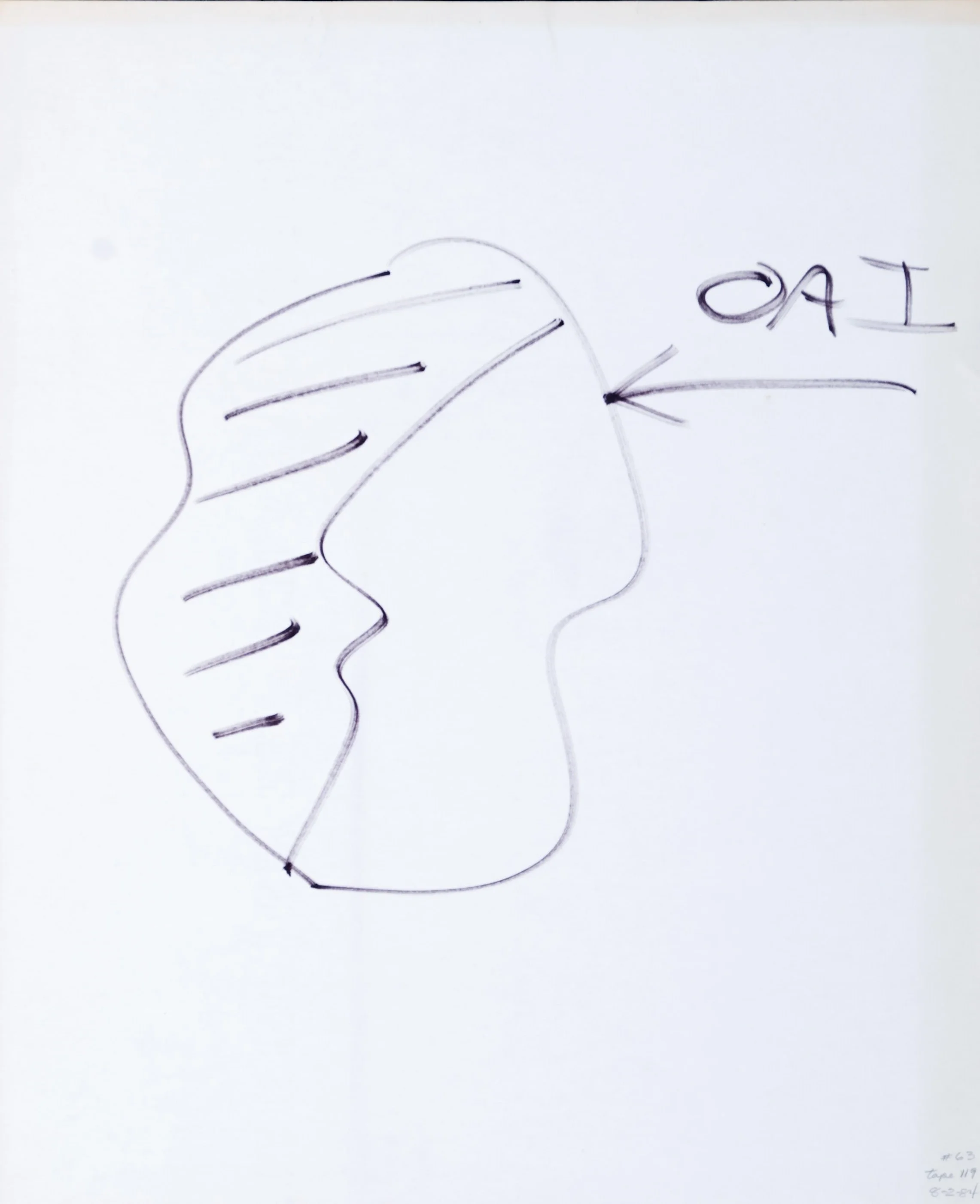 Diagram 63