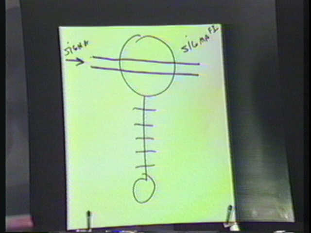 Diagram 52