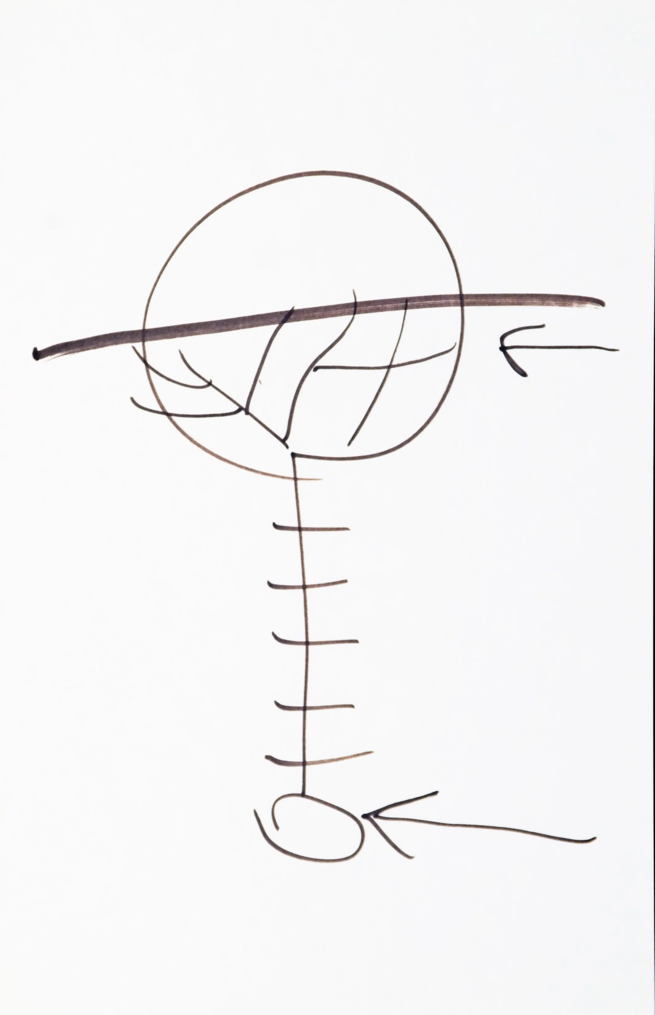 Diagram 54