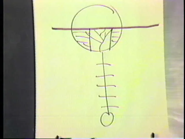 Diagram #080 video grab