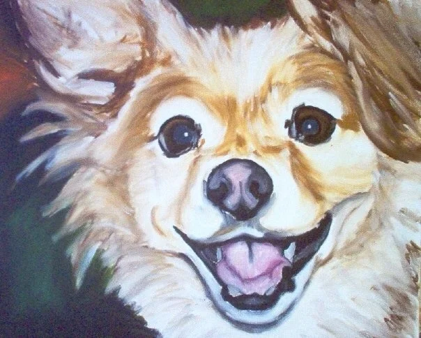 "Rufus" 16 x 16"