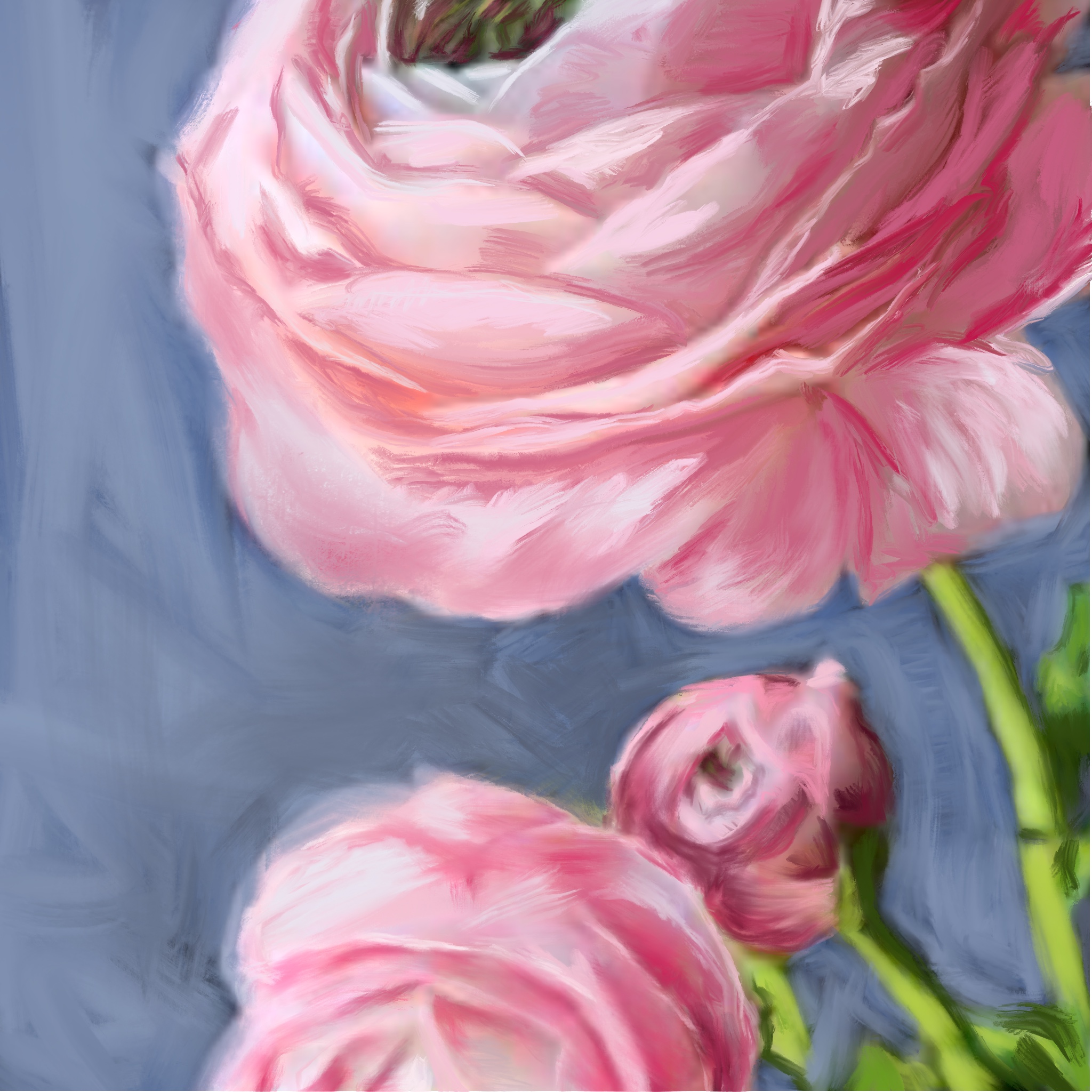 Untitled_Artwork 78.jpg