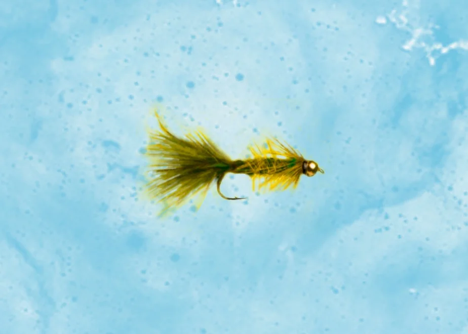 Untitled_Artwork 37.jpg