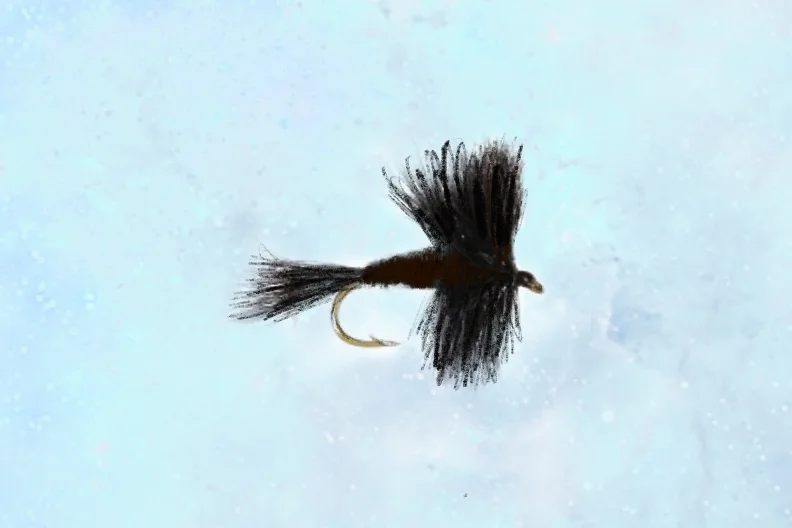 Untitled_Artwork 38.jpg