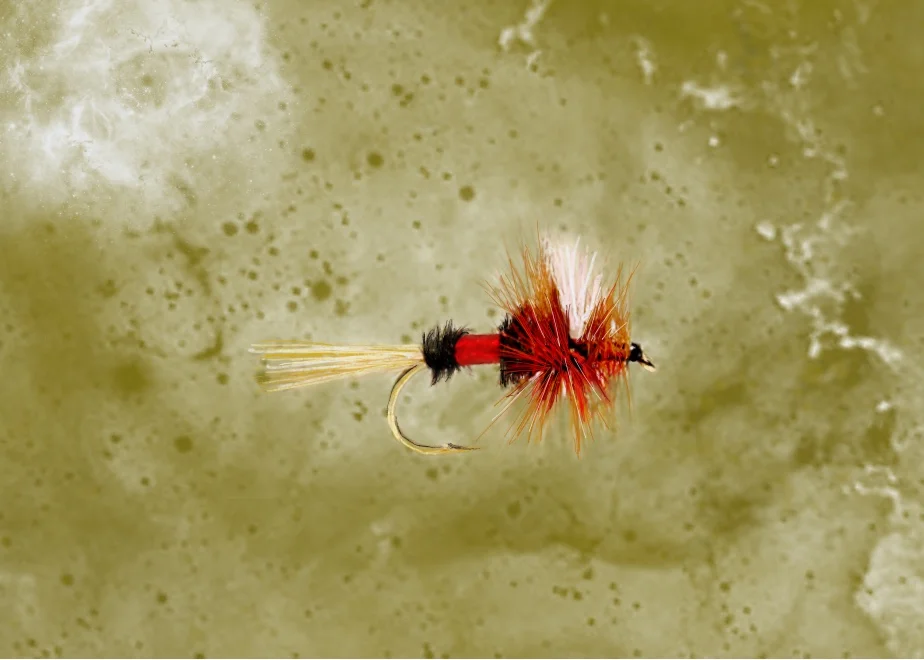 Untitled_Artwork 28.jpg