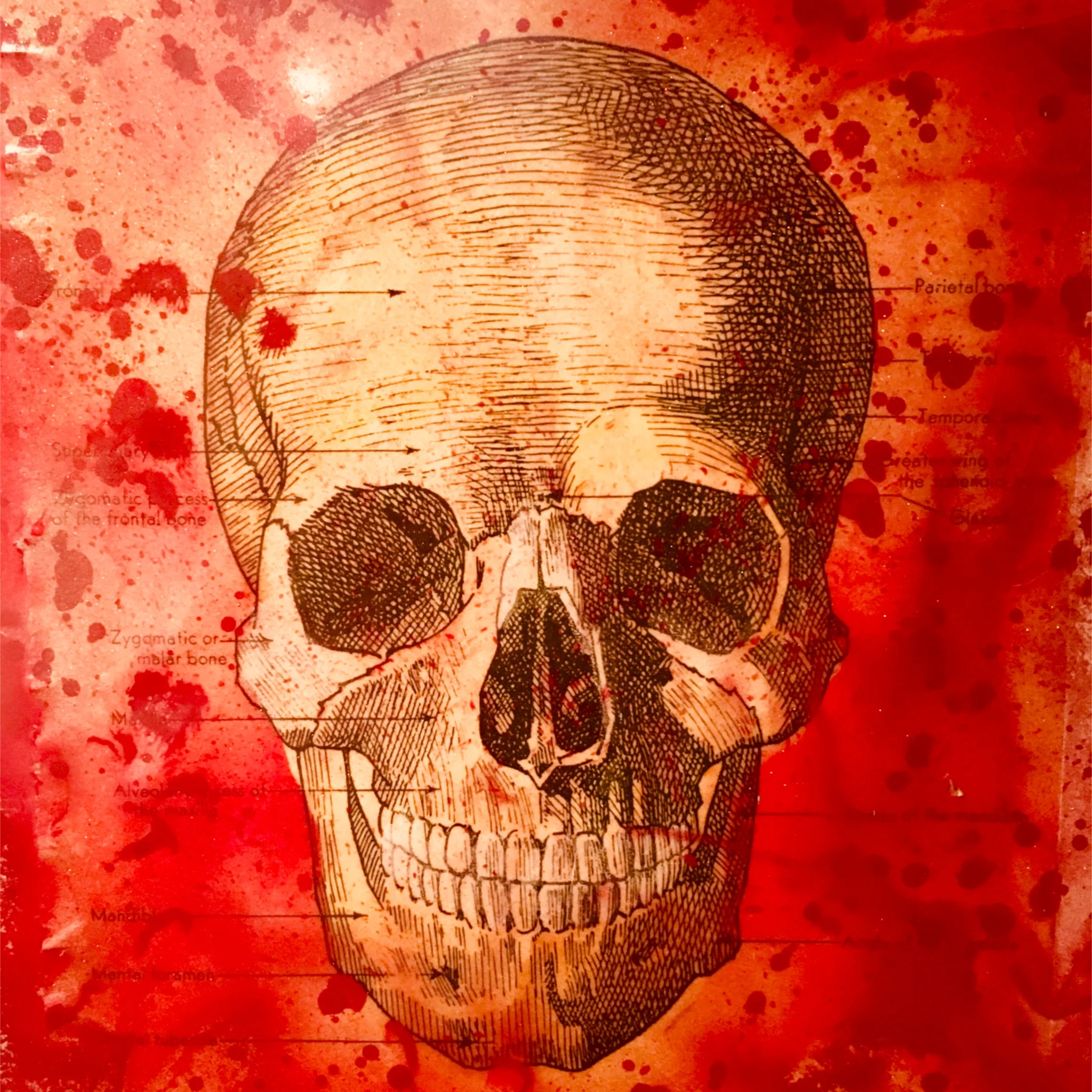 Untitled_Artwork 51.jpg