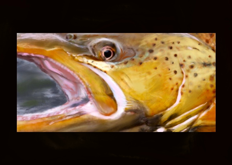 fullsizeoutput_b90.jpg