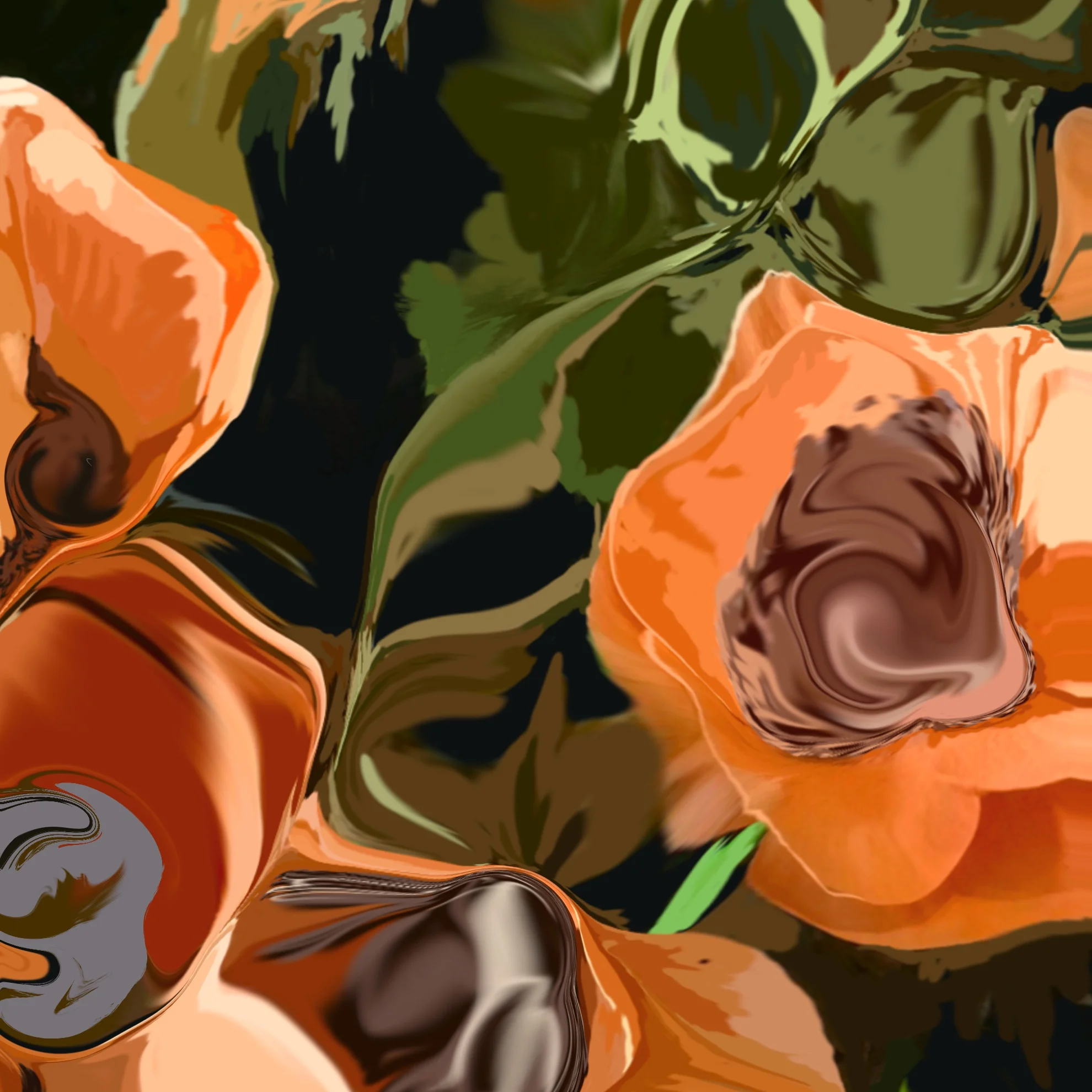 California Poppies 1