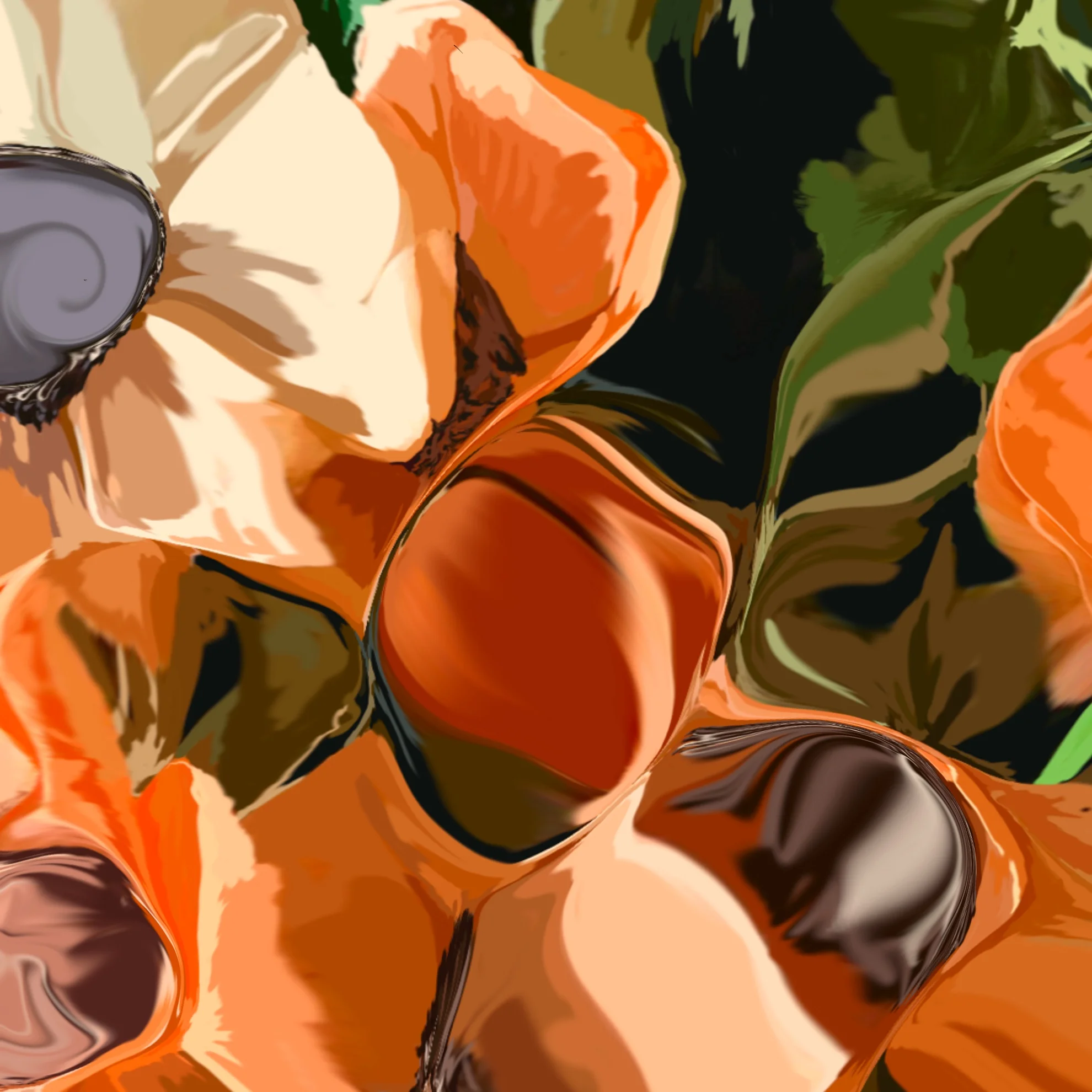 California Poppies 2