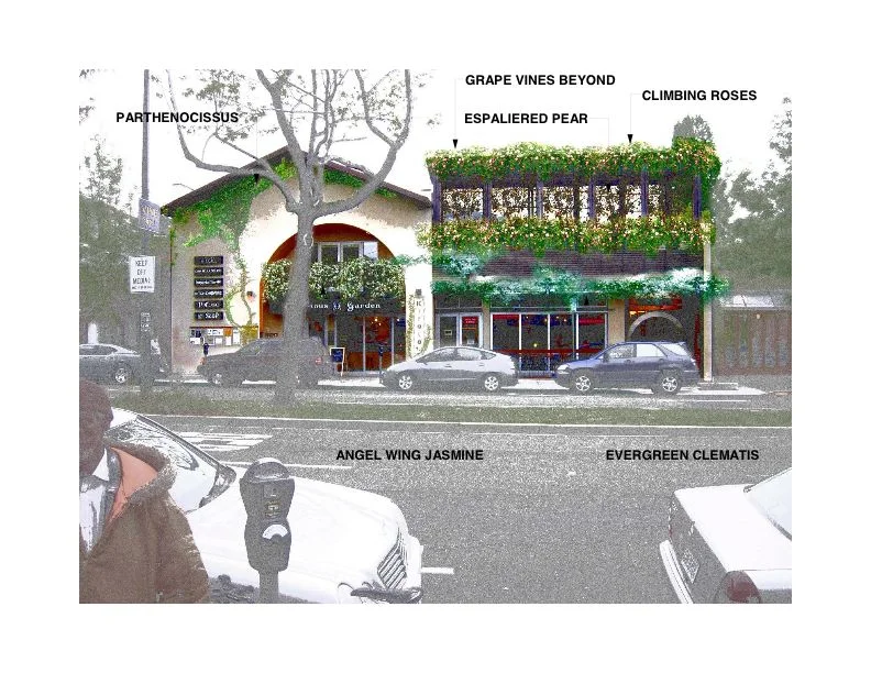 Epicurious Garden - Street Front