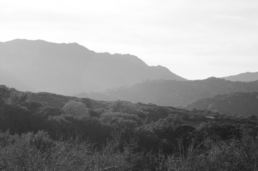 Topanga_Canyon_trail2b.png