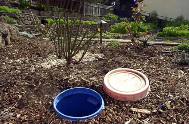 Alameda County's First Permitted Greywater System - A Humble Dispersion Point