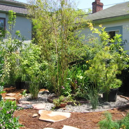 California's First Permitted Constructed Wetland for Residential Use - Berkeley Ecohouse & Dig Coop
