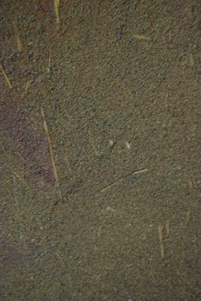 Poured Adobe Floor