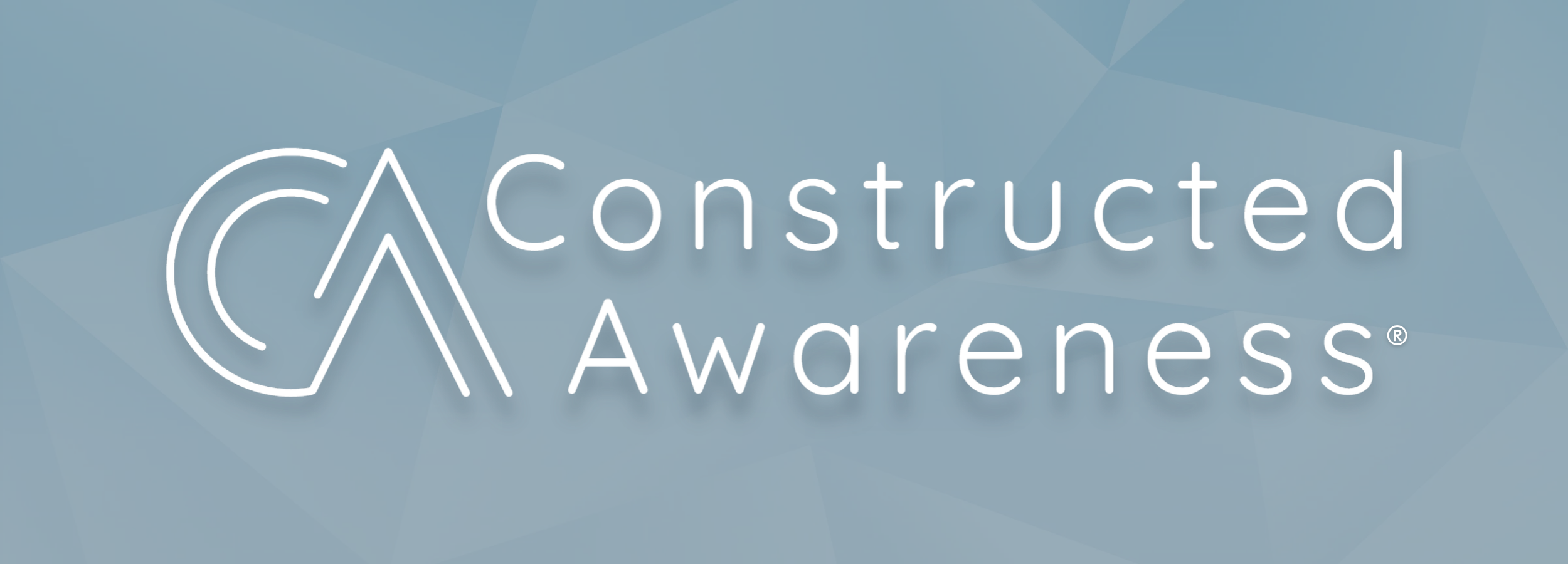 Banner featuring the Constructed Awareness® name over a soft blue geometric background distinctive to the CA model.