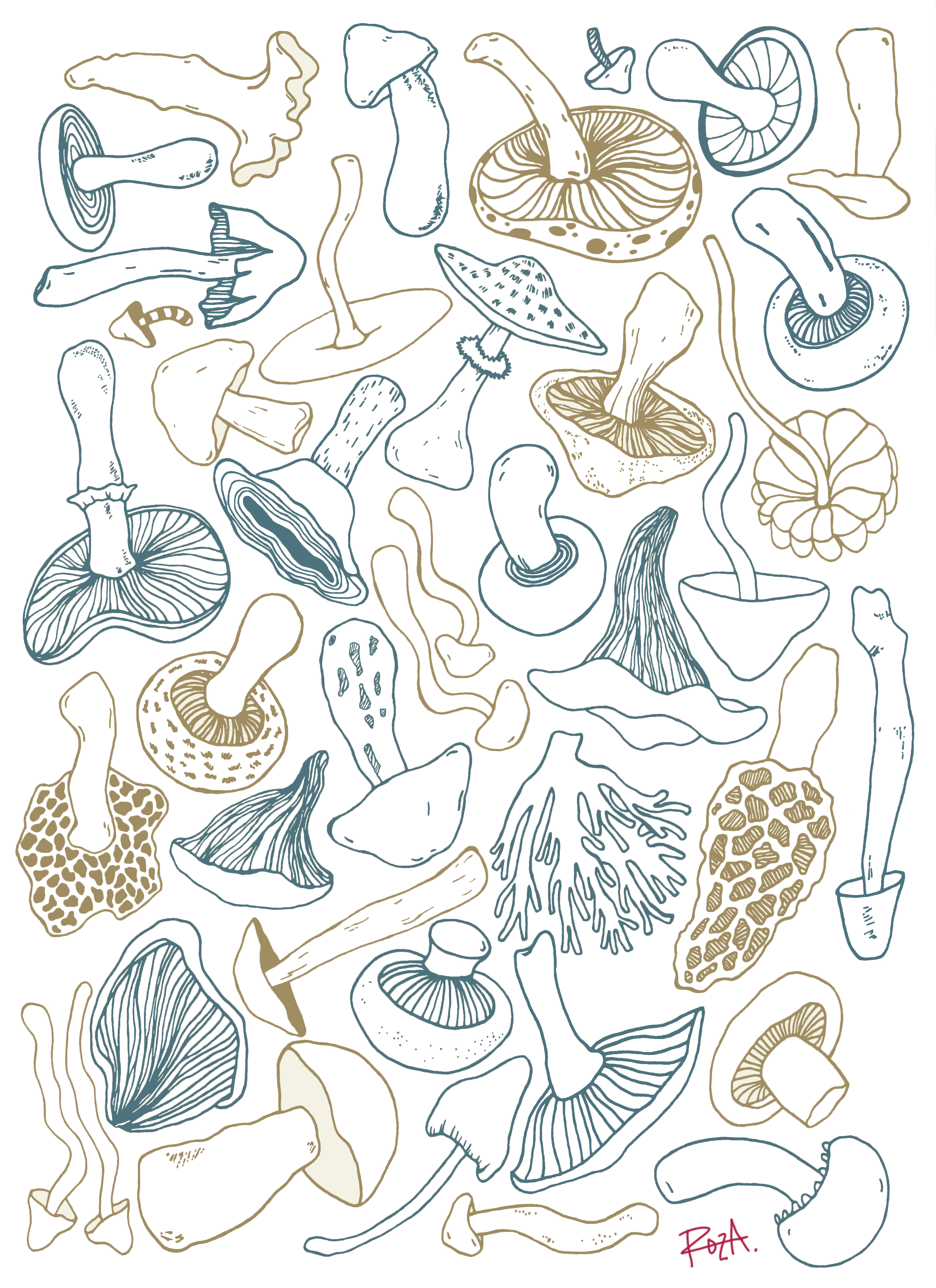 fungi.jpg