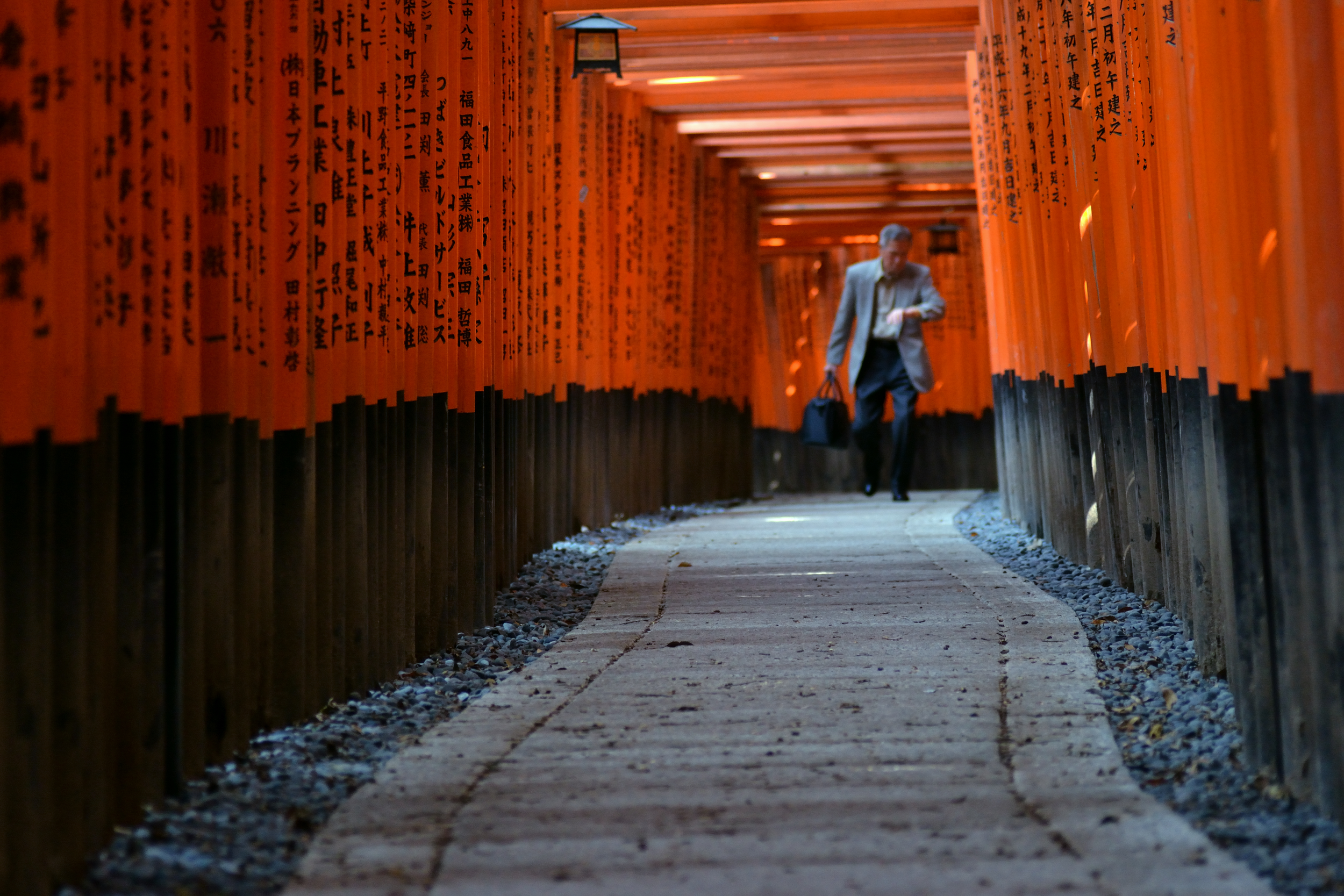 banner-pathway.png