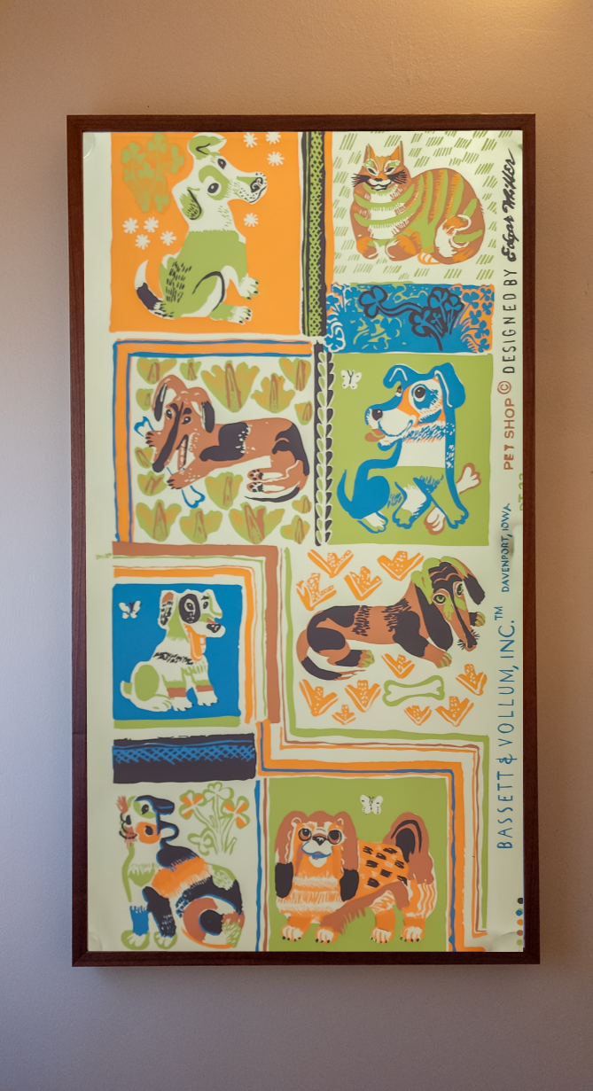 Pet Shop - Funky Fuzzballs FULL.png