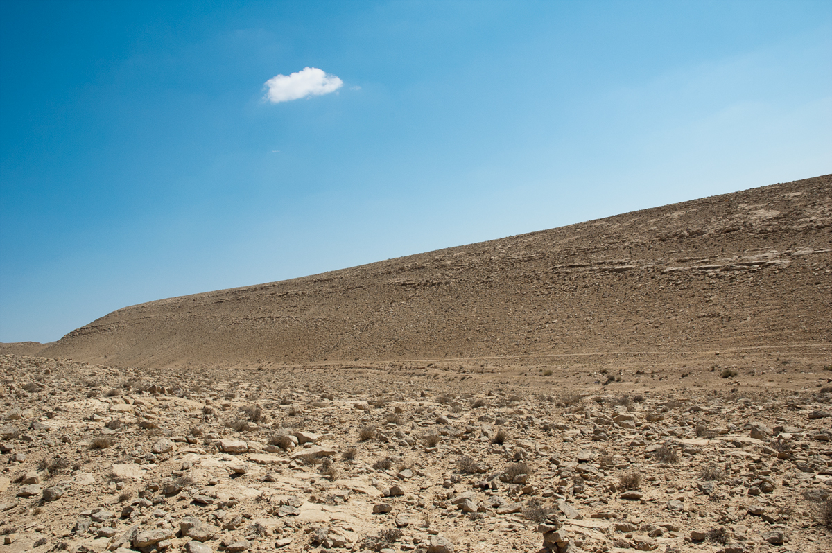 _DSC3376small.jpg