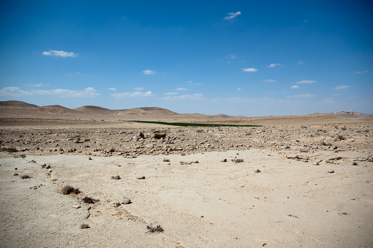 _DSC3366small.jpg
