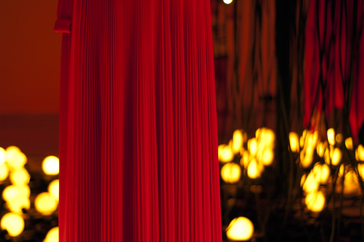 _DSC2619small.jpg