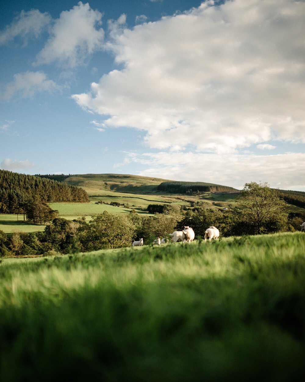 Jamie-Takes-Photos-Lake-District-Hills.jpeg