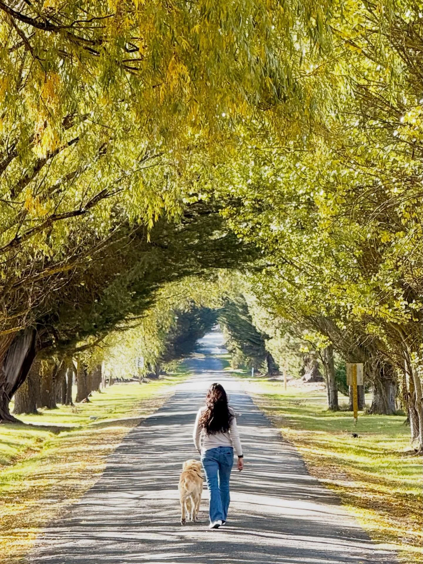 Autumn walks with your best friend 🧡 

&mdash;

This one is going to be hard to beat. A contender for one of my all-time favorite photos.

One of the most perfect days. In glorious Autumn weather. 

When we turned left to enter @clevelandestate, we 