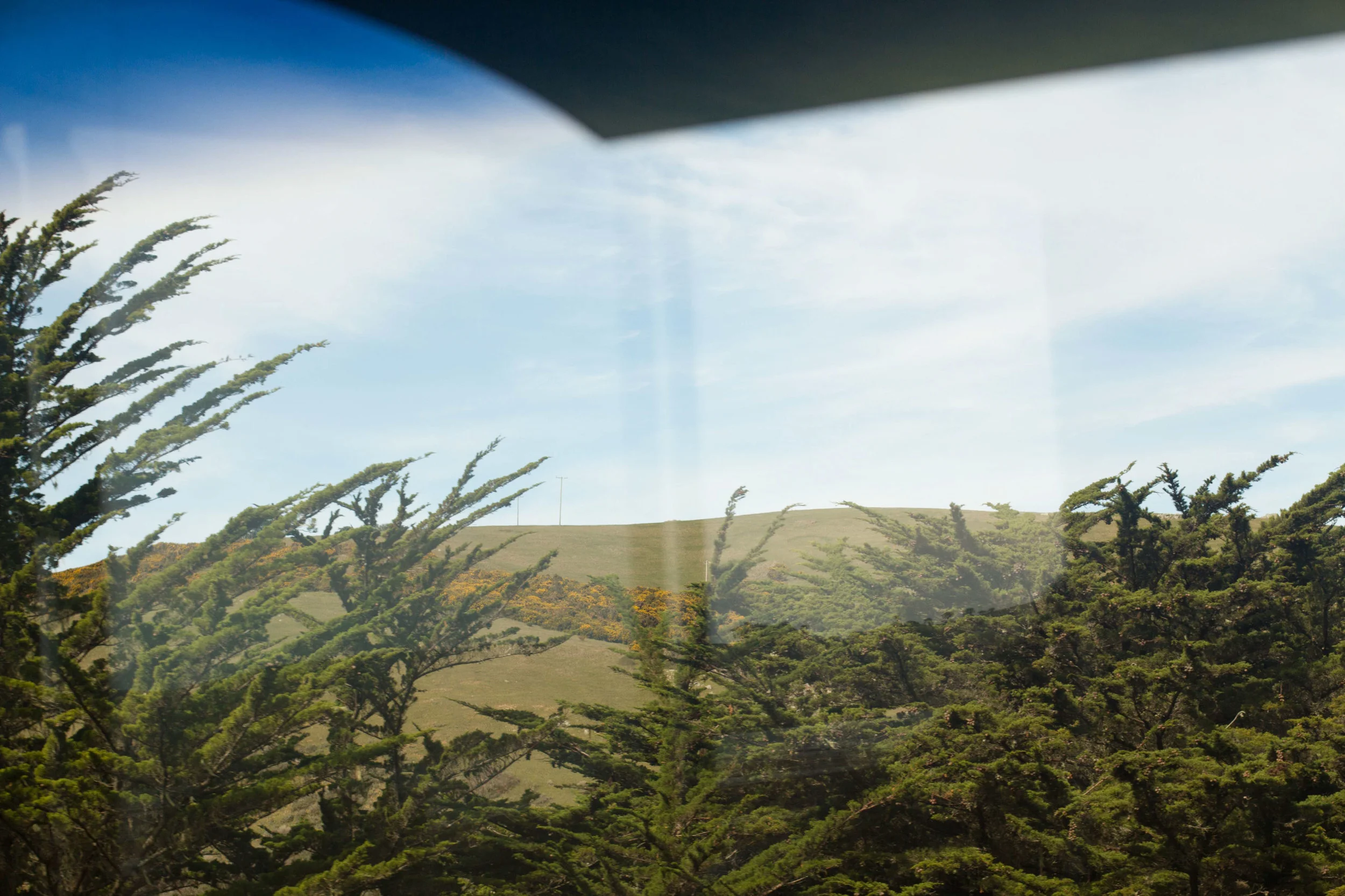 0FreeRidesLogs-32.jpg