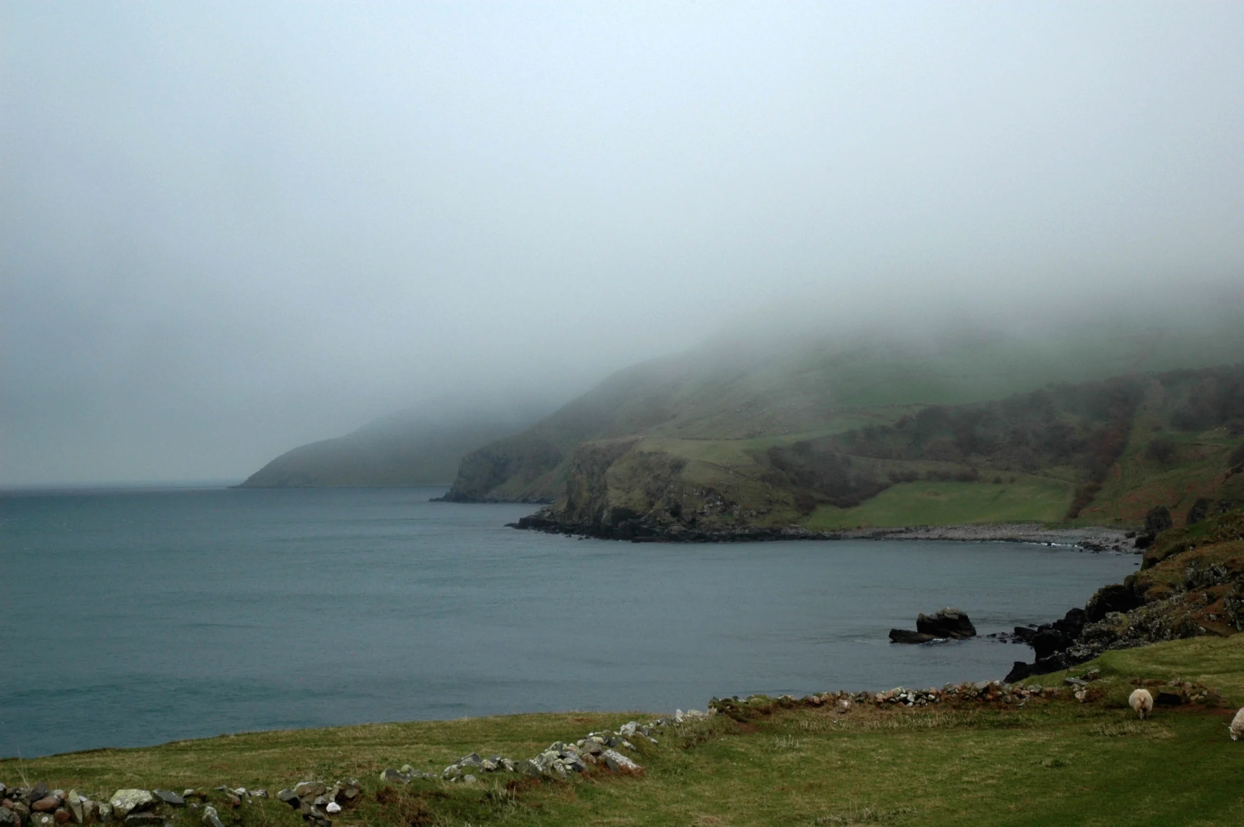 DSC_0192.jpg