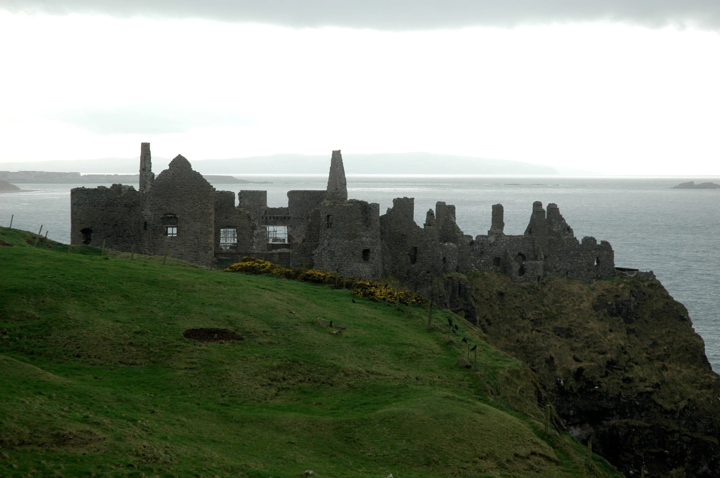 DSC_0210.jpg
