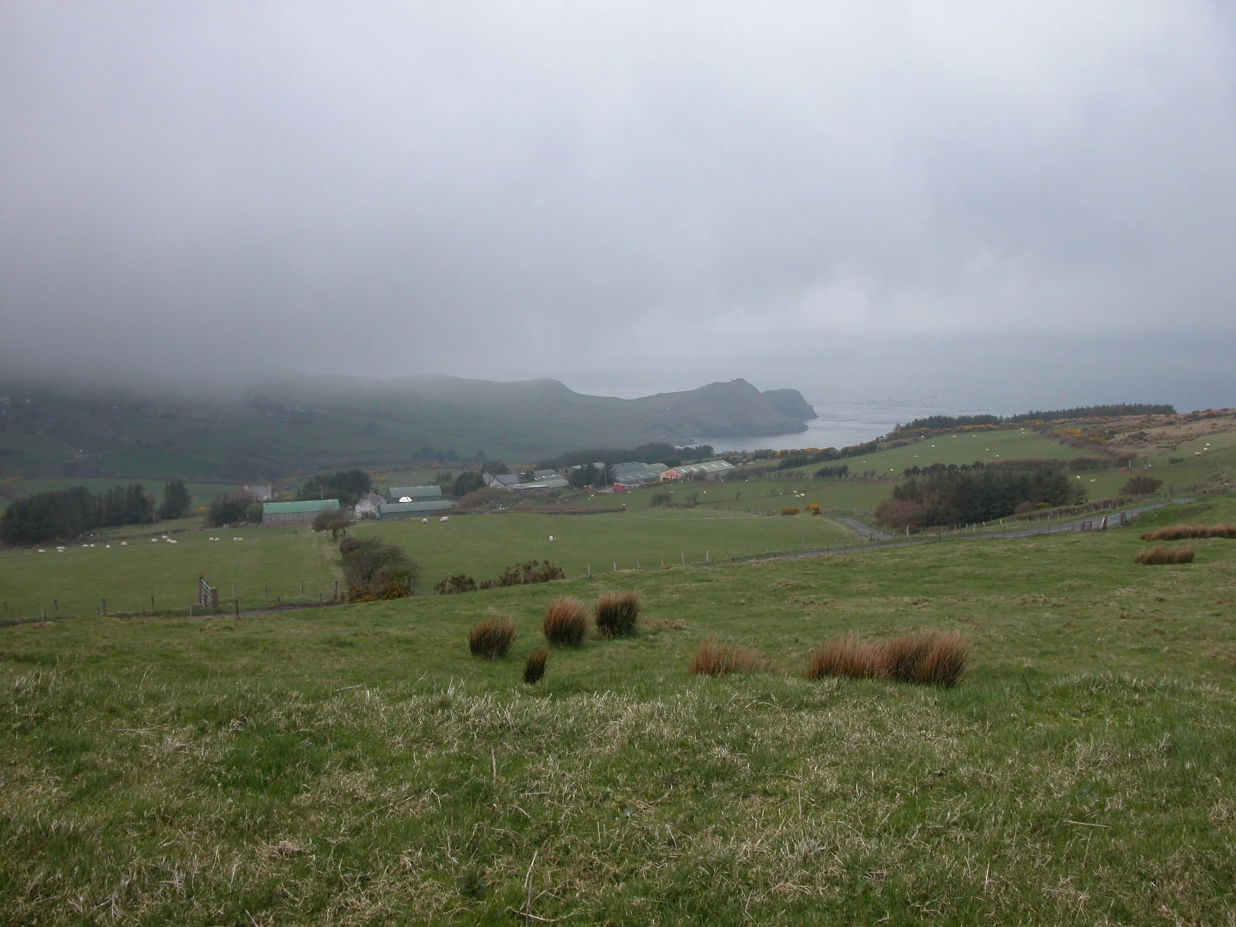 DSCN0164.jpg