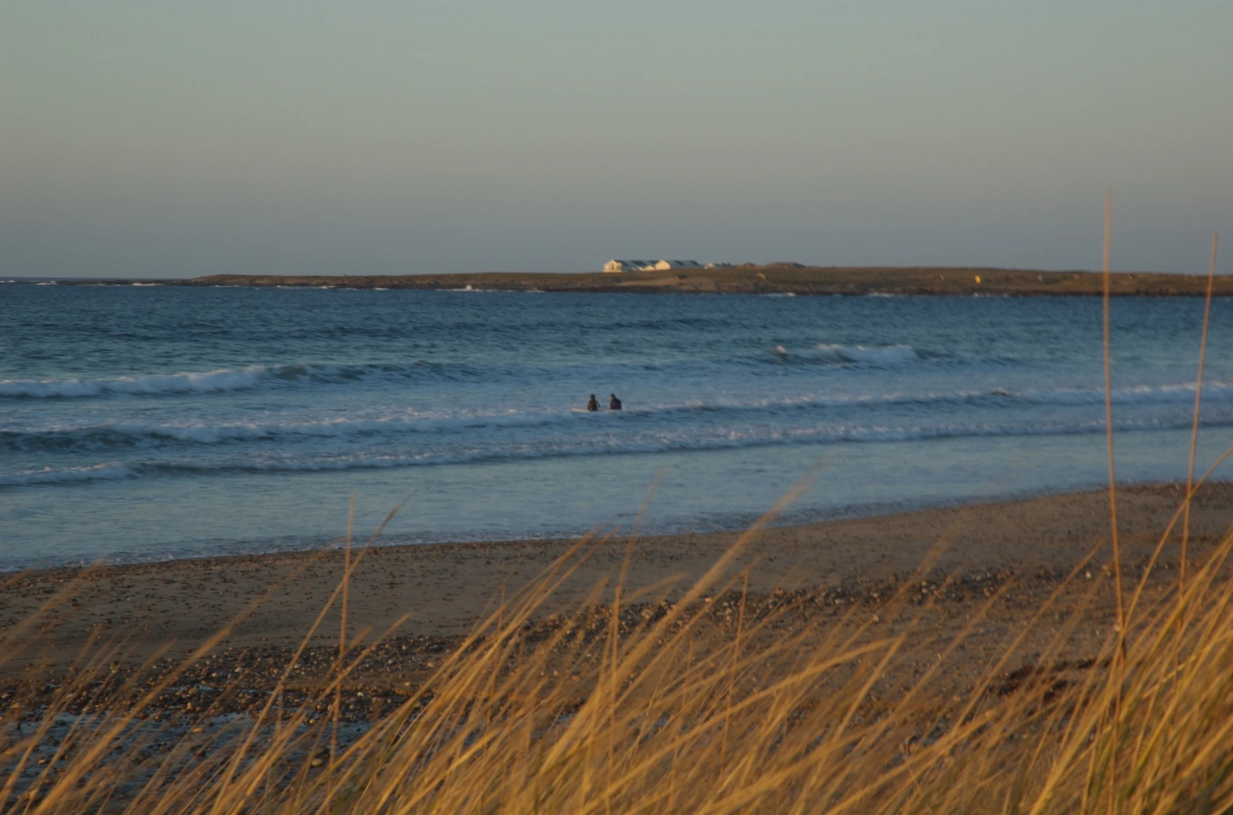 DSC_1077.jpg