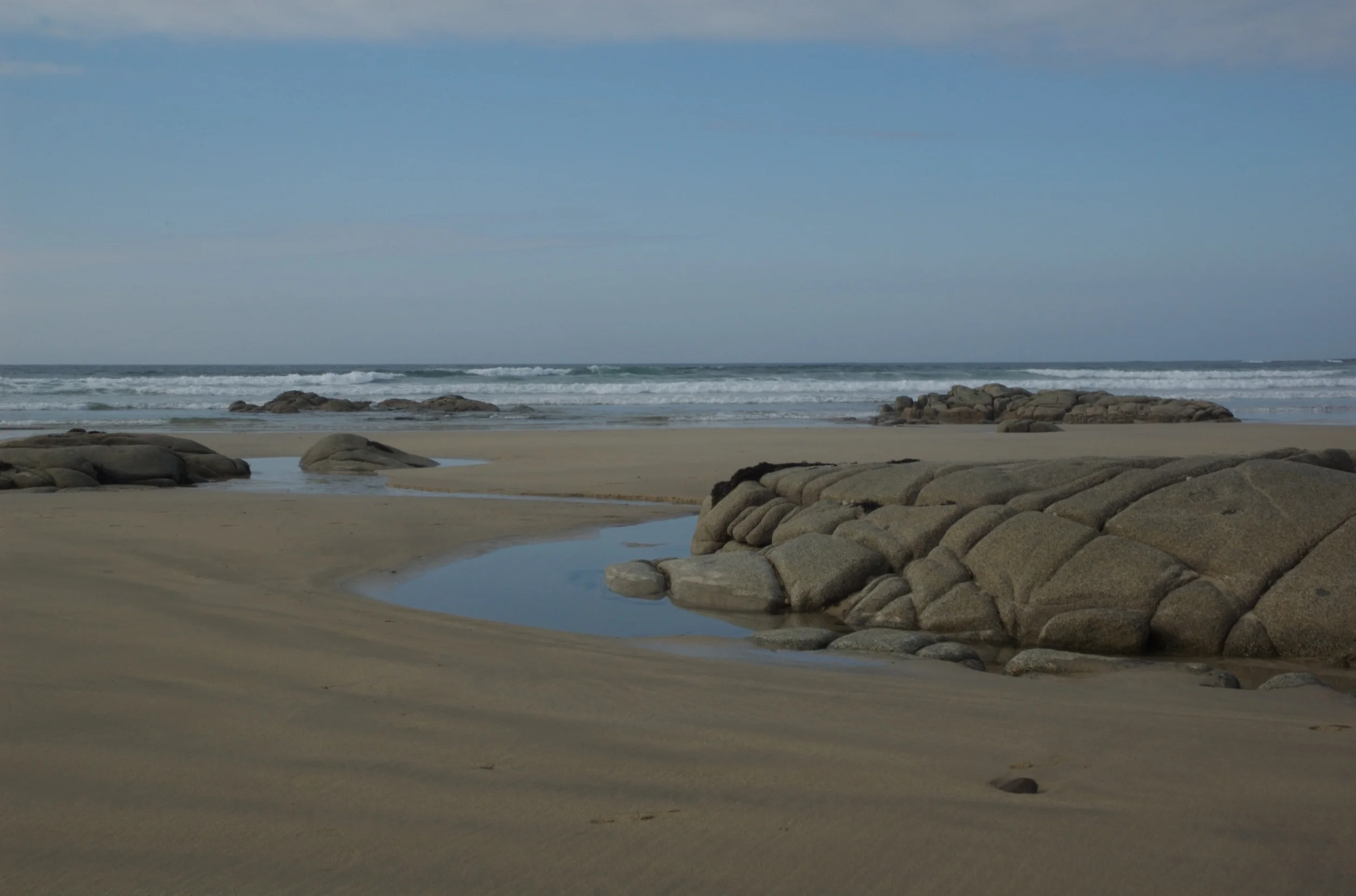 DSC_1100.jpg