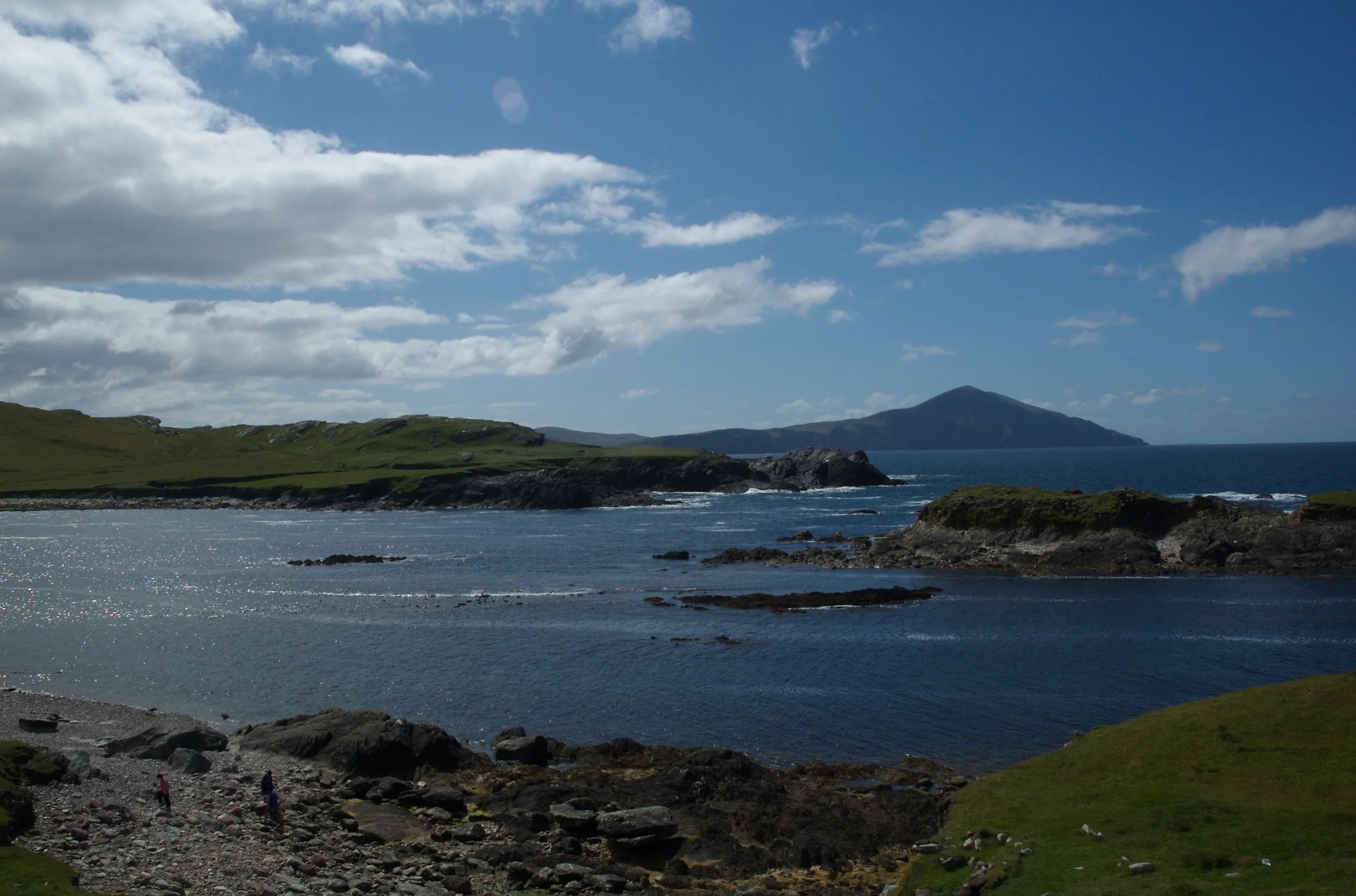 DSC_1337.jpg