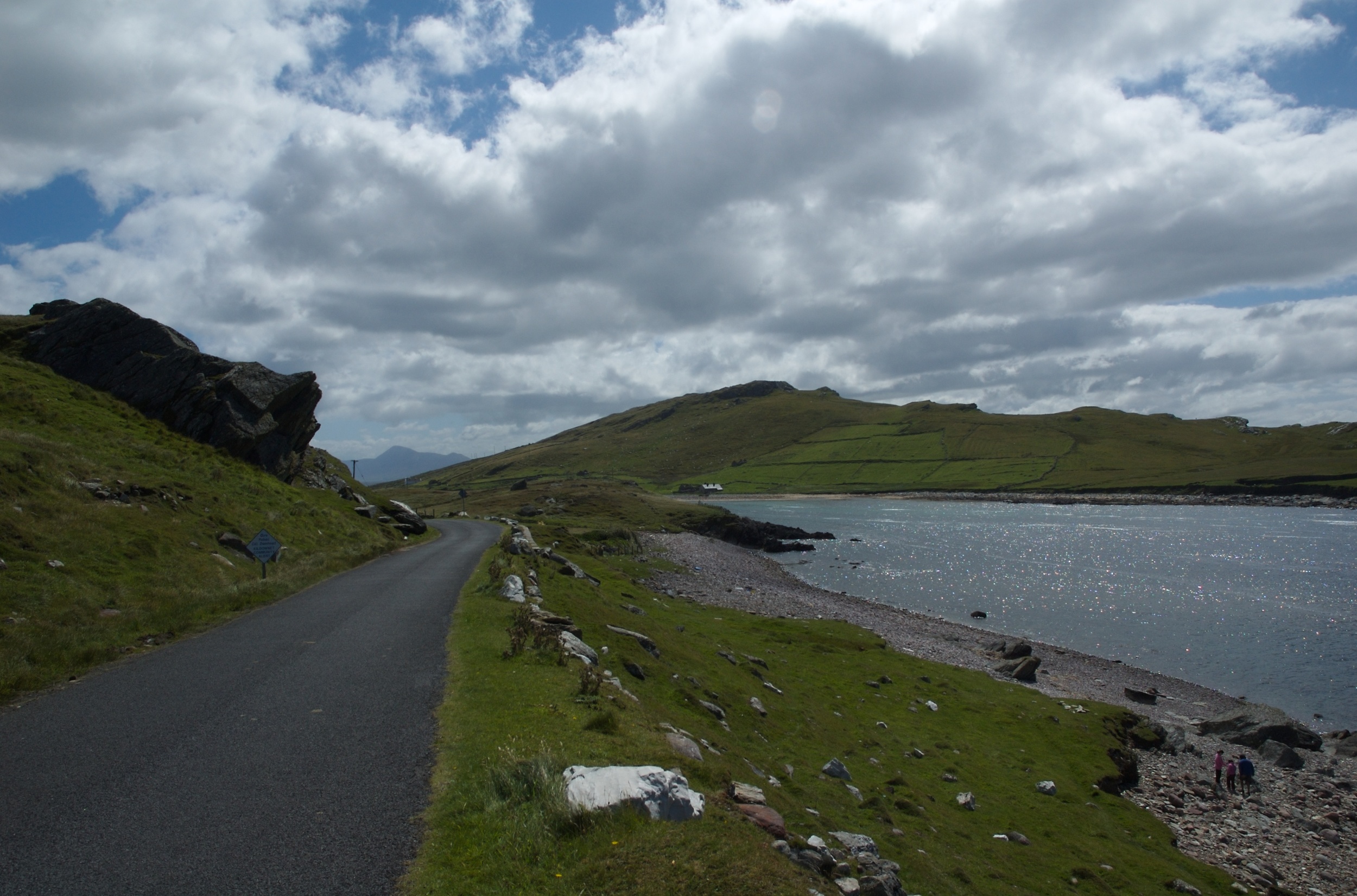 DSC_1338.jpg